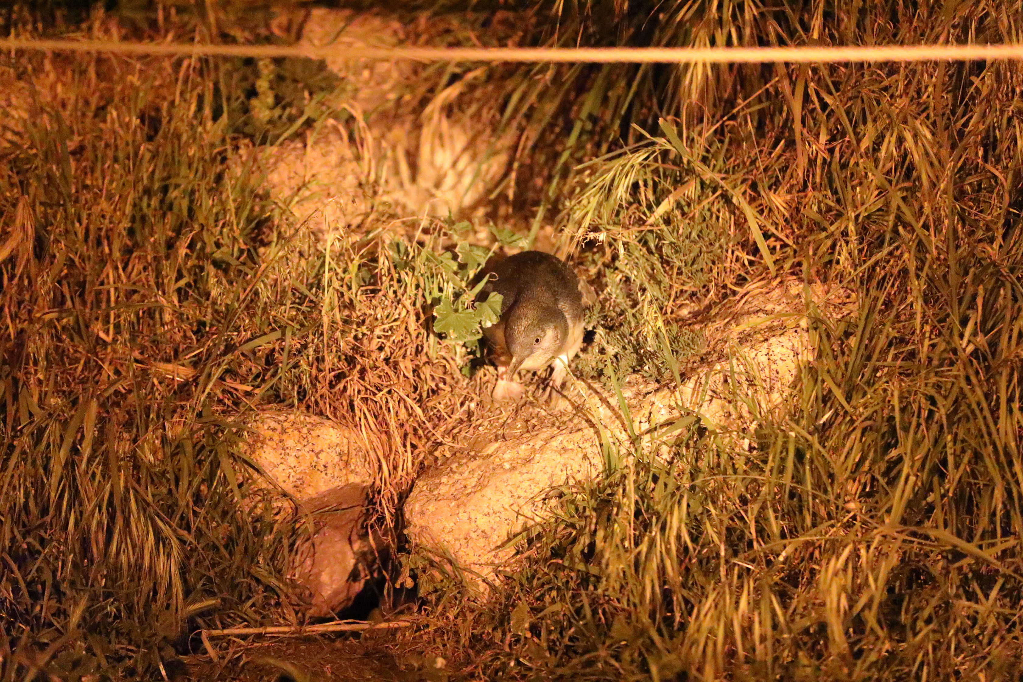 2019 09 28 19 31 49 Canon EOS 5D Mark IV 0059